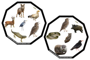 Juego de mesa de animales de las Hoces del Duratón para imprimir.