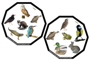 Juego de mesa de animales de las Hoces del Duratón para imprimir.