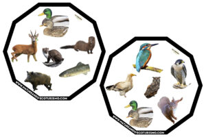 Juego de mesa de animales de las Hoces del Duratón para imprimir.
