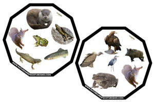 Juego de mesa de animales de las Hoces del Duratón para imprimir.