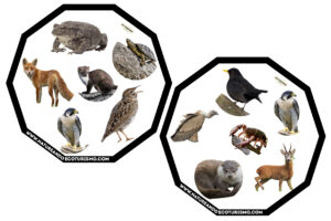 Juego de mesa de animales de las Hoces del Duratón para imprimir.