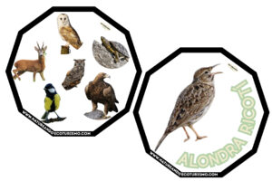 Juego de mesa de animales de las Hoces del Duratón para imprimir.