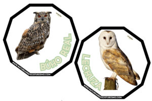 Juego de mesa de animales de las Hoces del Duratón para imprimir.