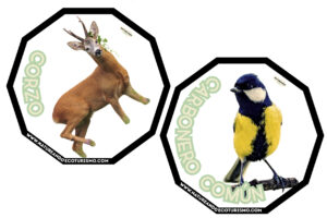 Juego de mesa de animales de las Hoces del Duratón para imprimir.