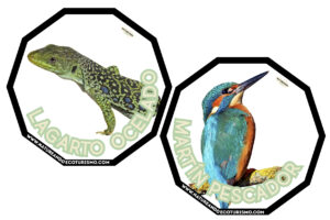 Juego de mesa de animales de las Hoces del Duratón para imprimir.