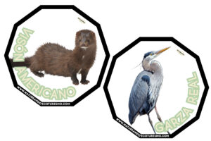 Juego de mesa de animales de las Hoces del Duratón para imprimir.