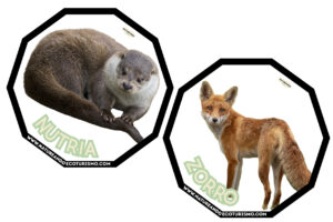 Juego de mesa de animales de las Hoces del Duratón para imprimir.