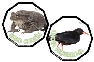 Juego de mesa de animales de las Hoces del Duratón para imprimir.