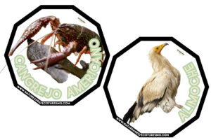 Juego de mesa de animales de las Hoces del Duratón para imprimir.