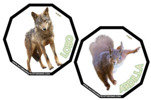 Juego de mesa de animales de las Hoces del Duratón para imprimir.