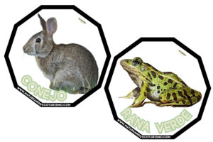 Juego de mesa de animales de las Hoces del Duratón para imprimir.