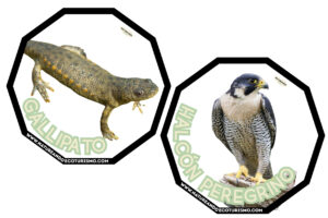 Juego de mesa de animales de las Hoces del Duratón para imprimir.