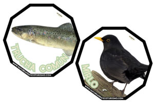 Juego de mesa de animales de las Hoces del Duratón para imprimir.