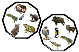 Juego de mesa de animales de las Hoces del Duratón para imprimir.