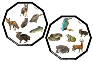 Juego de mesa de animales de las Hoces del Duratón para imprimir.