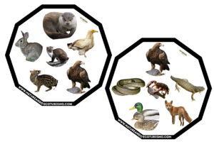 Juego de mesa de animales de las Hoces del Duratón para imprimir.