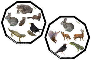Juego de mesa de animales de las Hoces del Duratón para imprimir.