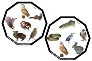 Juego de mesa de animales de las Hoces del Duratón para imprimir.